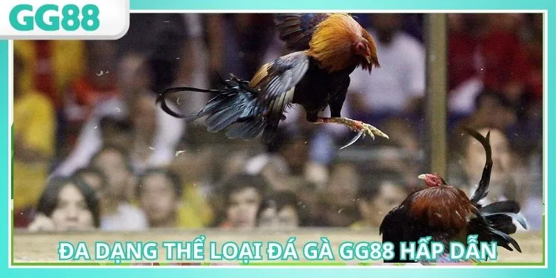 Nhiều thể loại hấp dẫn khi truy cập đường dẫn mới nhất